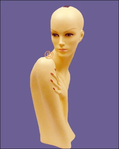 Hair Wig Mannequin MQ109F (USED) 2 Hair Wig Mannequin MQ109F (USED) - Image 2