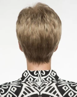 Jamie | Synthetic Wig By Envy -Best wig outlet Shop EV20022 Jamie back023