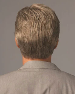 Sophistication | Average/Large Men's Lace Front & Monofilament Synthetic Wig By HIM -Best wig outlet Shop HC64003AL Sophistication Back