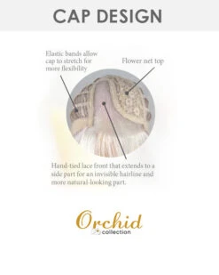 Posh | Lace Front & Monofilament Part Synthetic Wig By Orchid 23 Posh | Lace Front & Monofilament Part Synthetic Wig By Orchid -Best wig outlet Shop OC4110 Posh Cap