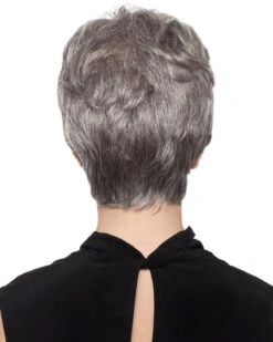 Shortie | Synthetic Wig By Wig Pro -Best wig outlet Shop WP20015 Shortie back 92