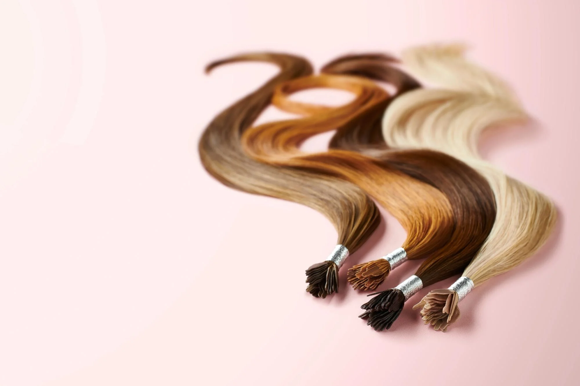 Best wig outlet Shop -Best wig outlet Shop AL Rebrand Flatlay AL Blog Cover 2 4dd39abc e668 430a a9fb 600a2b50129a